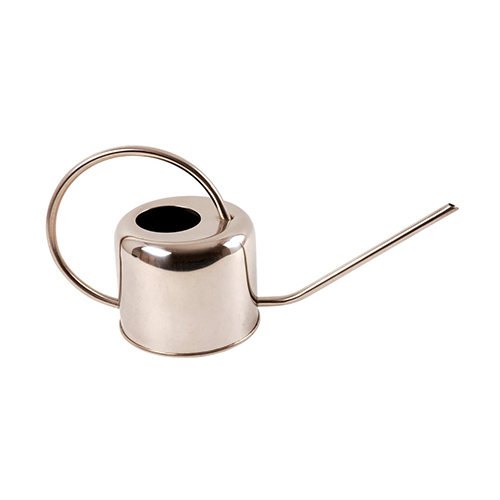 Stainless Steel Watering Can Love the Edit